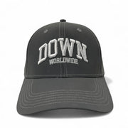 DOWN WORLDWIDE Strapback Cap - Grey Reflect