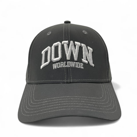 DOWN WORLDWIDE Strapback Cap - Grey Reflect
