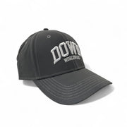 DOWN WORLDWIDE Strapback Cap - Grey Reflect