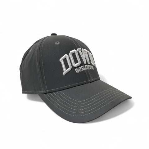 DOWN WORLDWIDE Strapback Cap - Grey Reflect