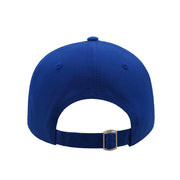 DWi Signature Cap - Blue